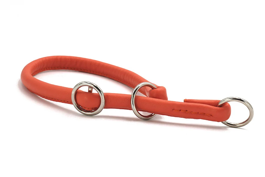Halsband Rundgenäht Holi Color – Bild 7