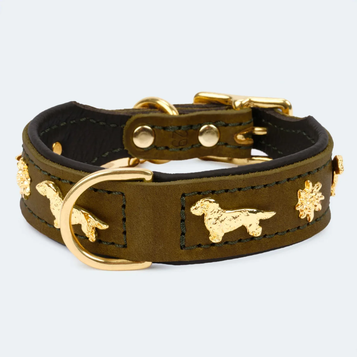 Hundehalsband Leder Dackel oliv/ dunkelbraun – Bild 2