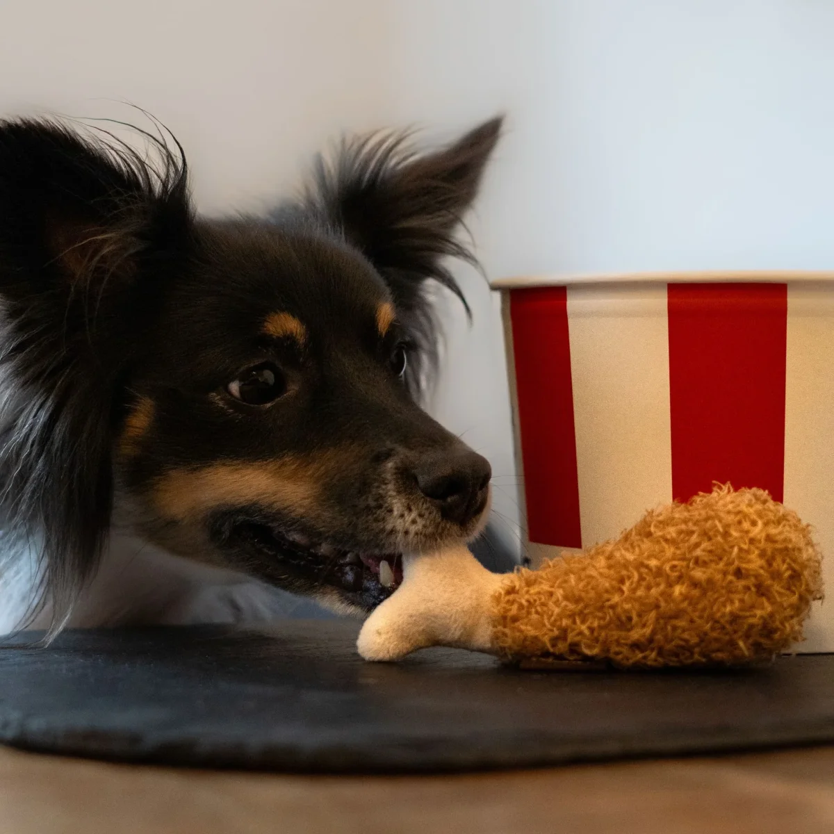 P.L.A.Y. Hundespielzeug Fluffy´s Fried Chicken